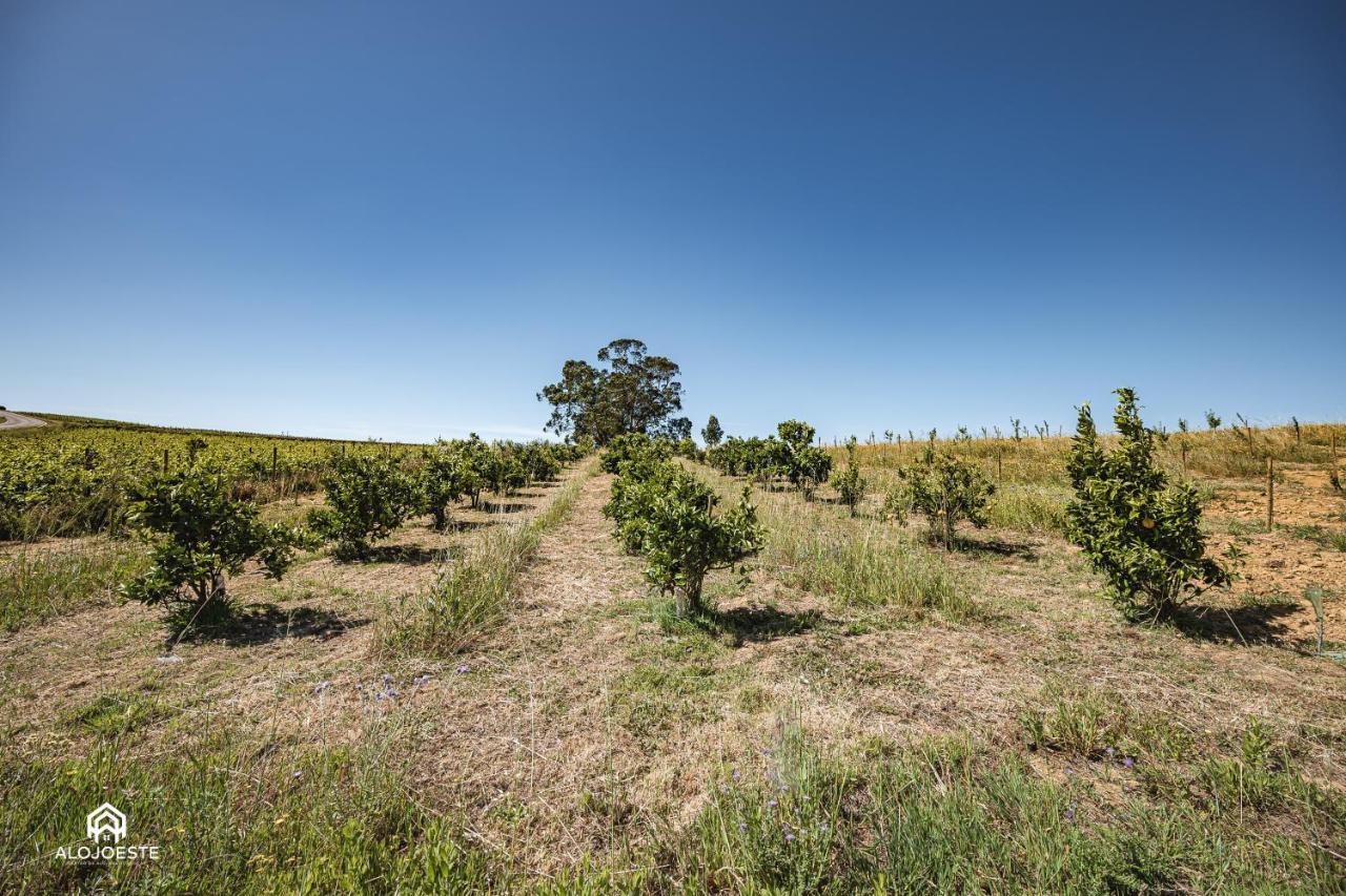 Quinta Da Estima Villa Dous Portos Eksteriør billede